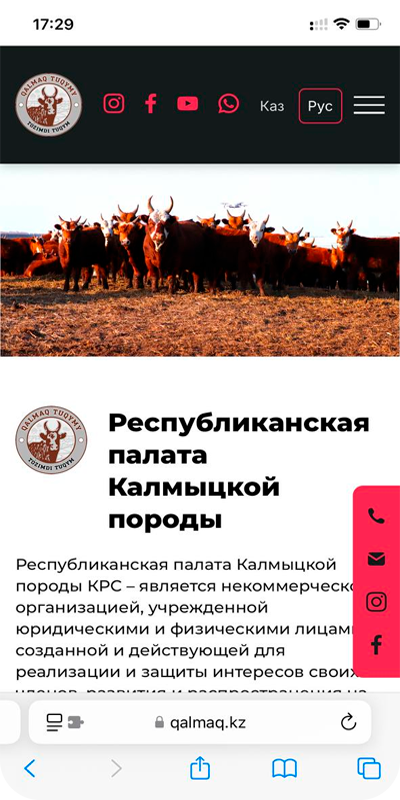 Qalmaq.kz